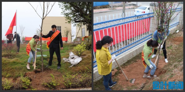 IMG_1026_conew1.jpg IMG_1026_conew1.jpg